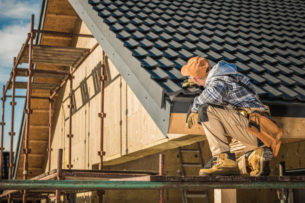 Best Local Roofing Companies  in Ray City, GA