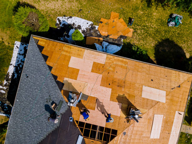 Best Metal Roofing Contractor  in Ray City, GA