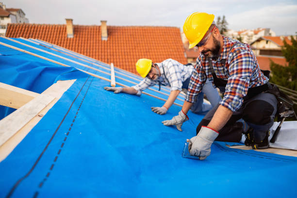 Best Gutter Installation and Roofing  in Ray City, GA