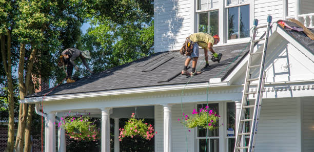 Best Storm Damage Roof Repair  in Ray City, GA